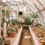 Moorten Botanical Garden