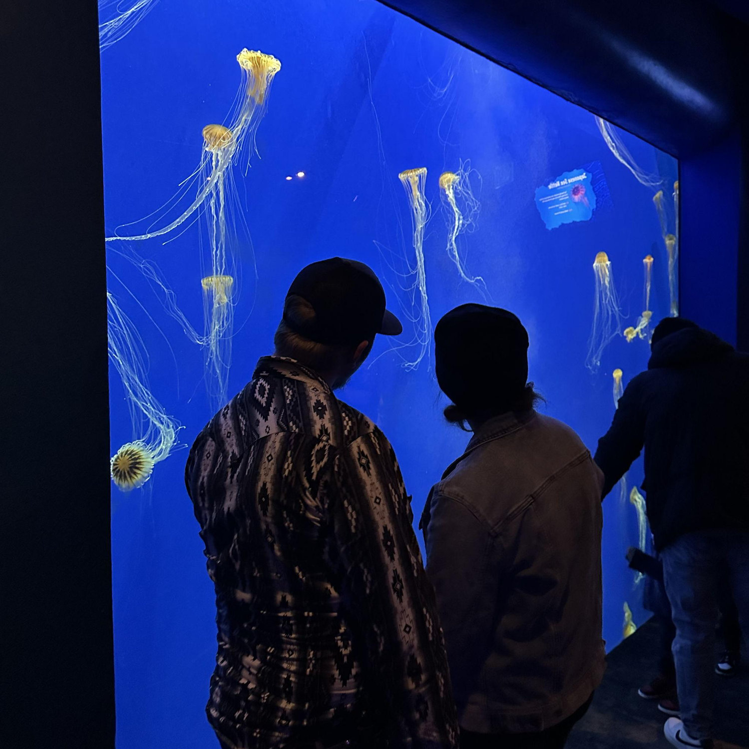 Atlanta, GA