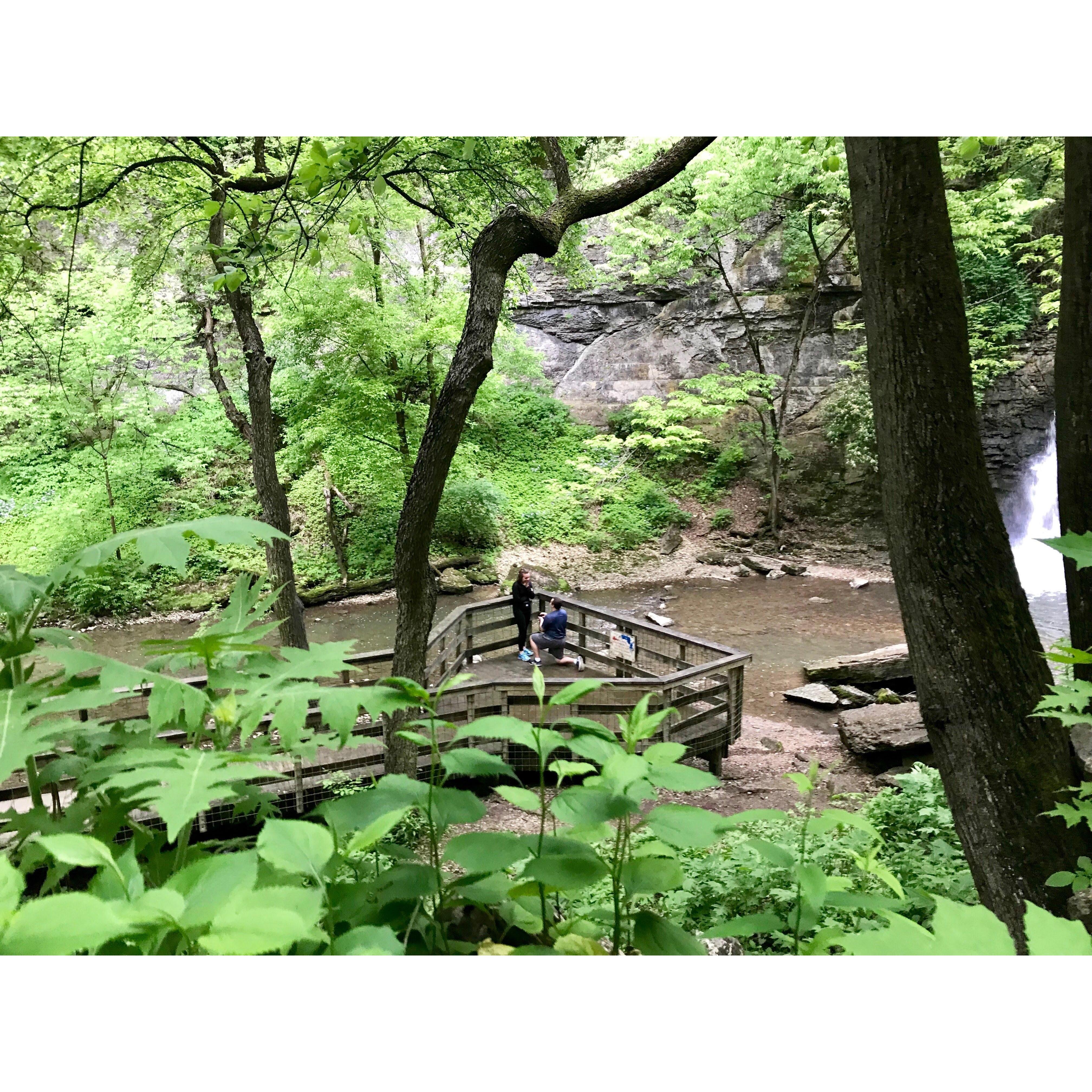 Proposal at Hayden Falls | May 21, 2019