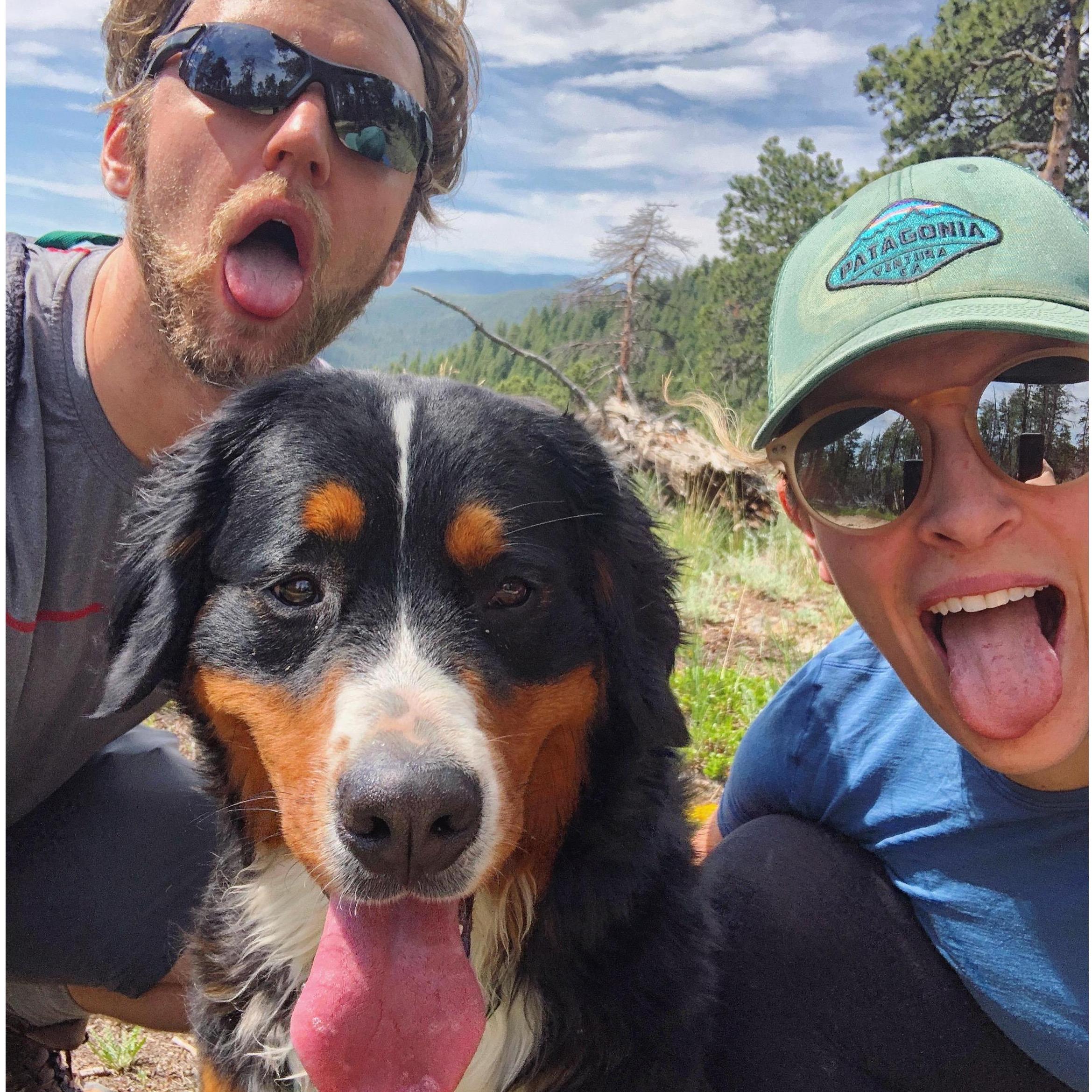 Sun's out, tongues out!