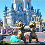 Walt Disney World