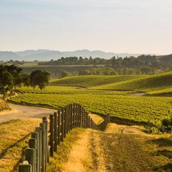 Move to California fund!