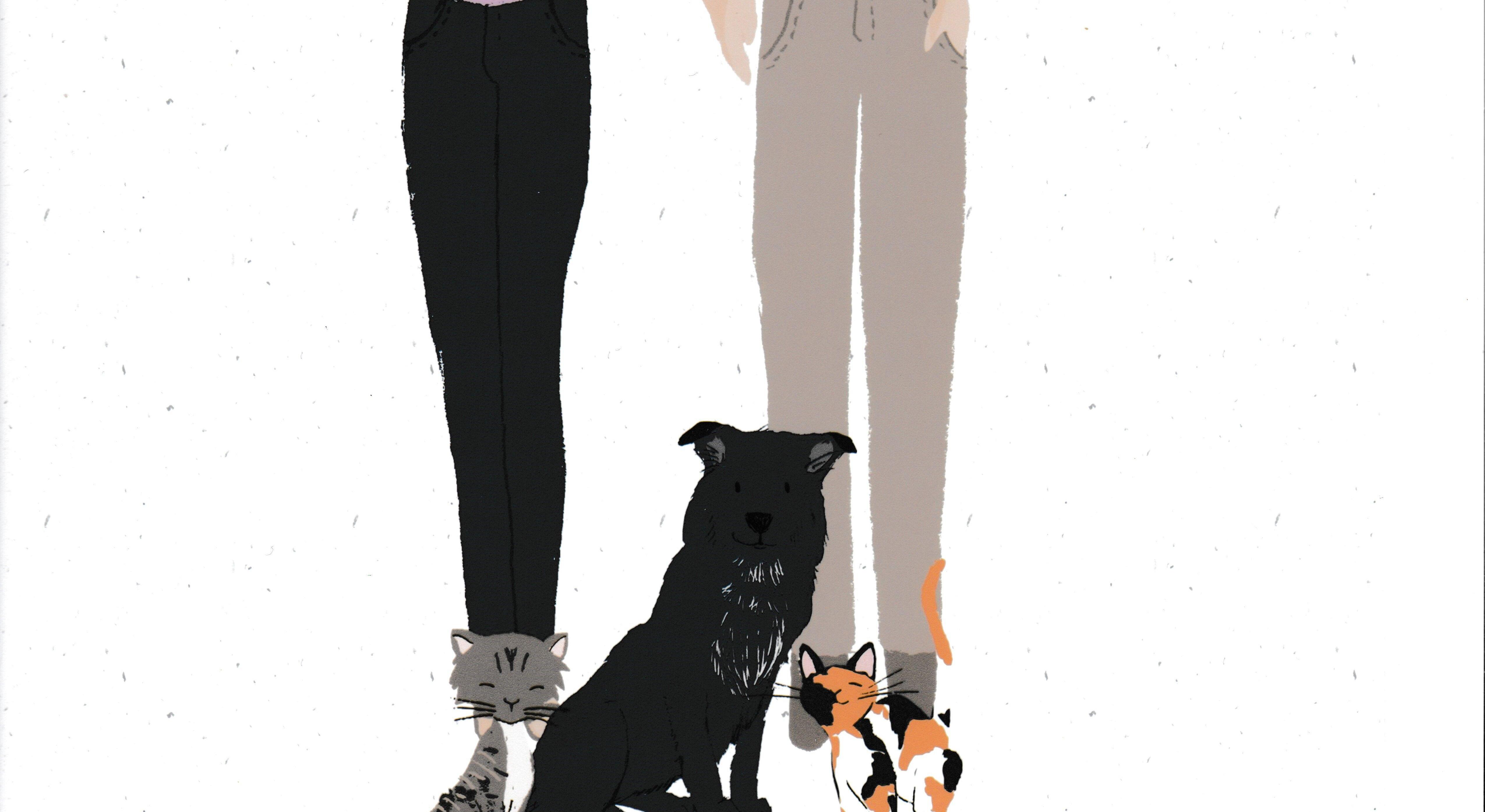 Footer image