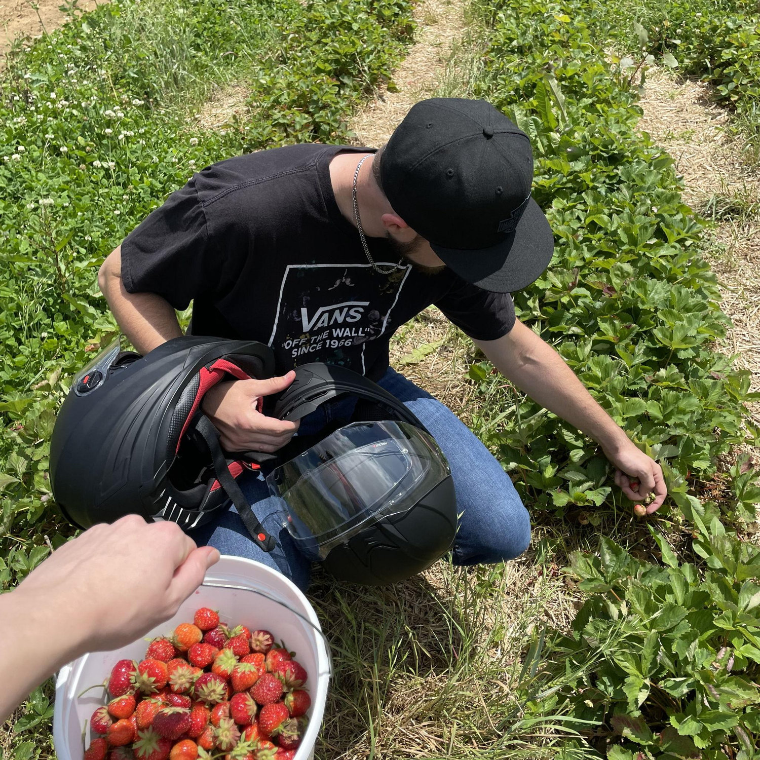 motorcycle trip to the starberry field