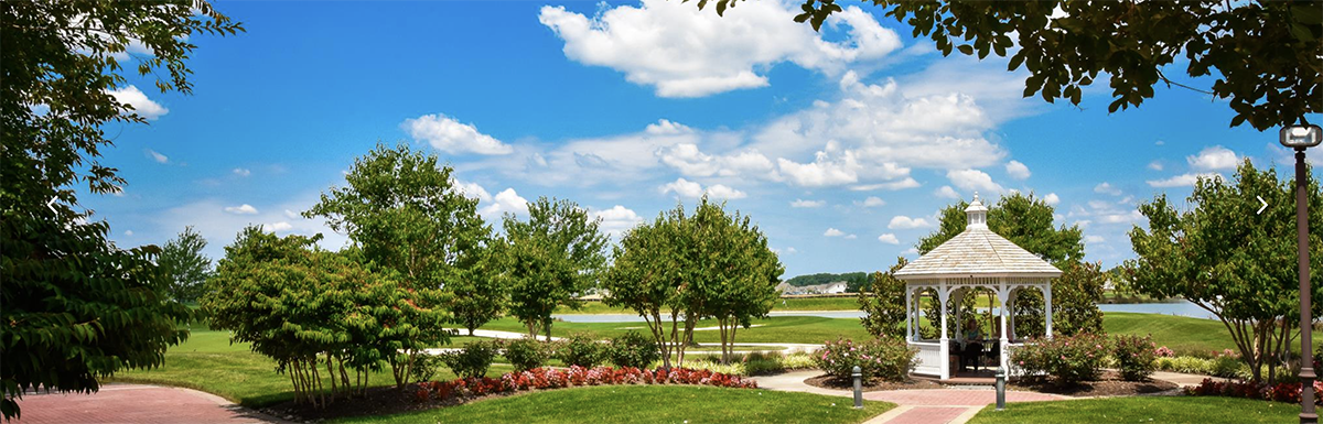 The Wedding Website of Tosha Zimmerman and Robin Spangenberg