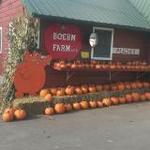 Boehm Farm