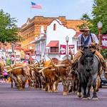 The Stockyards