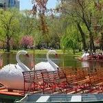 Boston Common