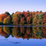 Walden Pond State Reservation