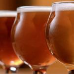 Tangled Roots Brewing Company - The Lone Buffalo