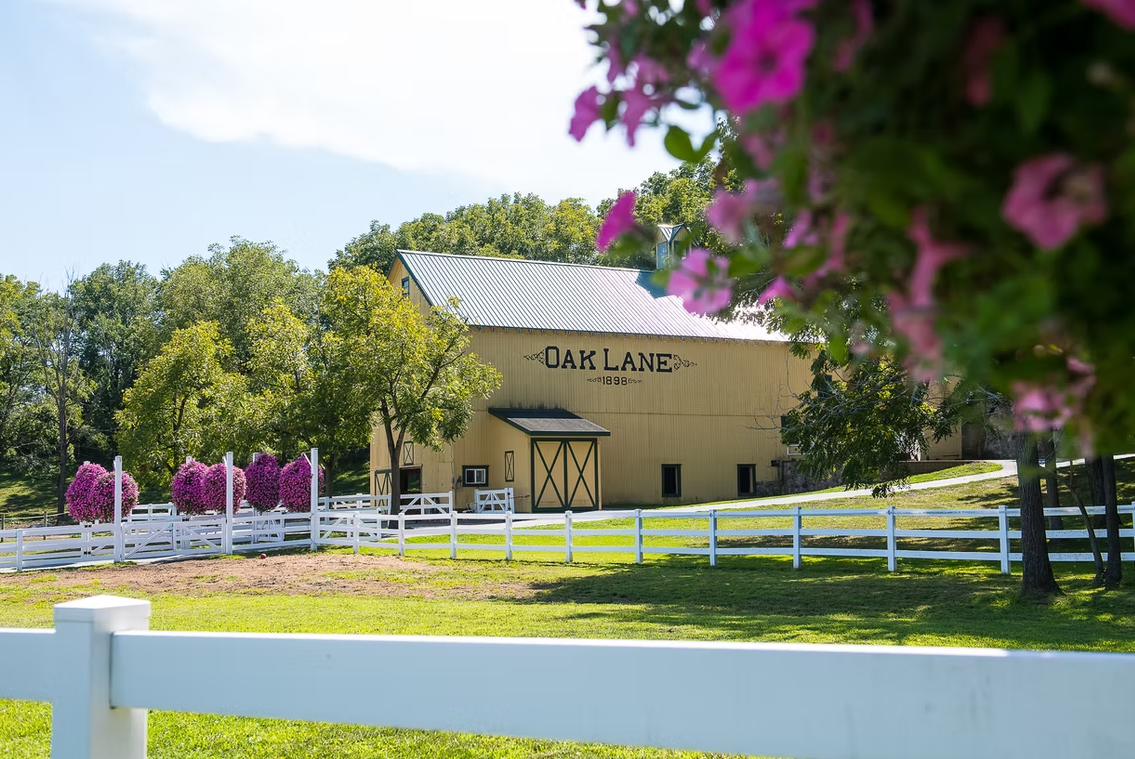 The Wedding Website of Michelle Karwowski and Daniel Gallaway