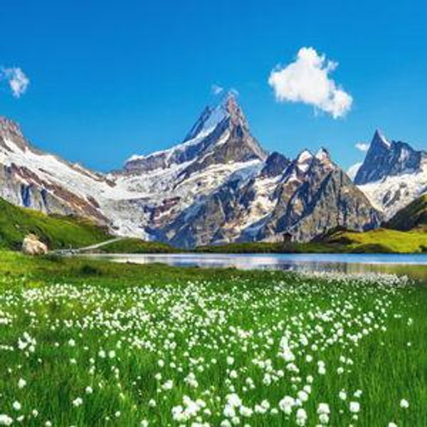 Germany/Austria Honeymoon Fund