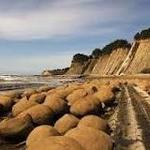Bowling Ball Beach