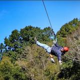 Carolina Ziplines Canopy Tour