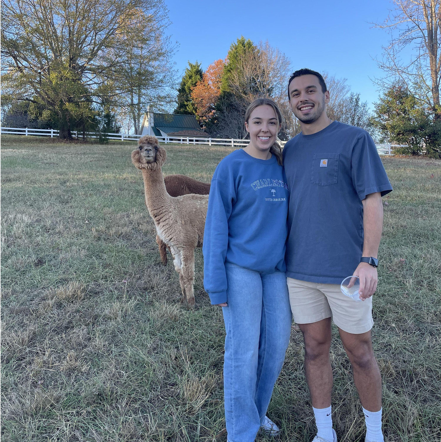 While we couldn't find a place to meet llamas (Brady's favorite animal), we opted for alpacas instead on this fun wine and alpaca date.