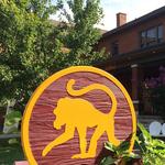 Frothy Monkey | Downtown, Franklin