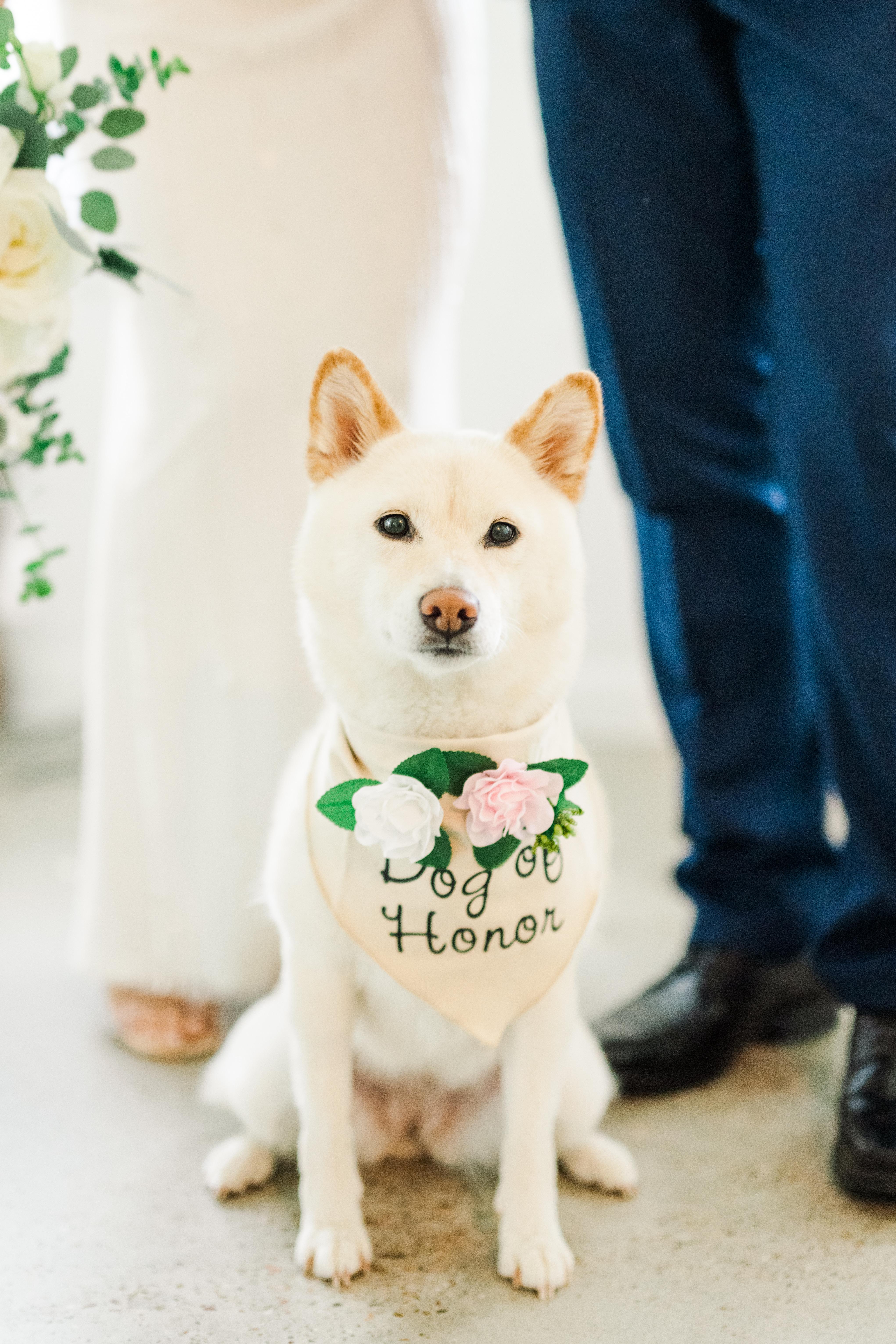 The Wedding Website of Michelle Nguyen and Michael Liu