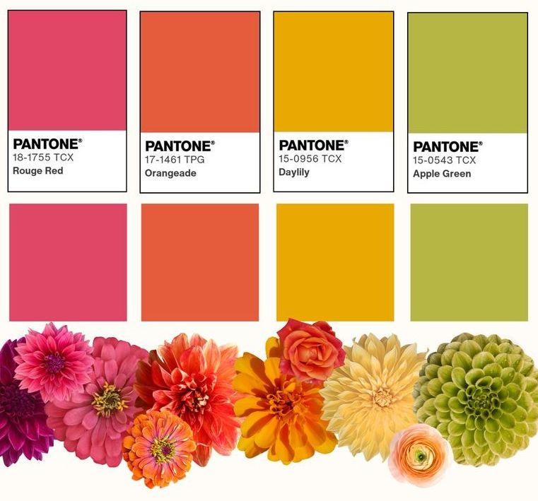 The Wedding Website of Jackie Hernandez and Nicholas Fuller