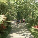 Harry P Leu Gardens