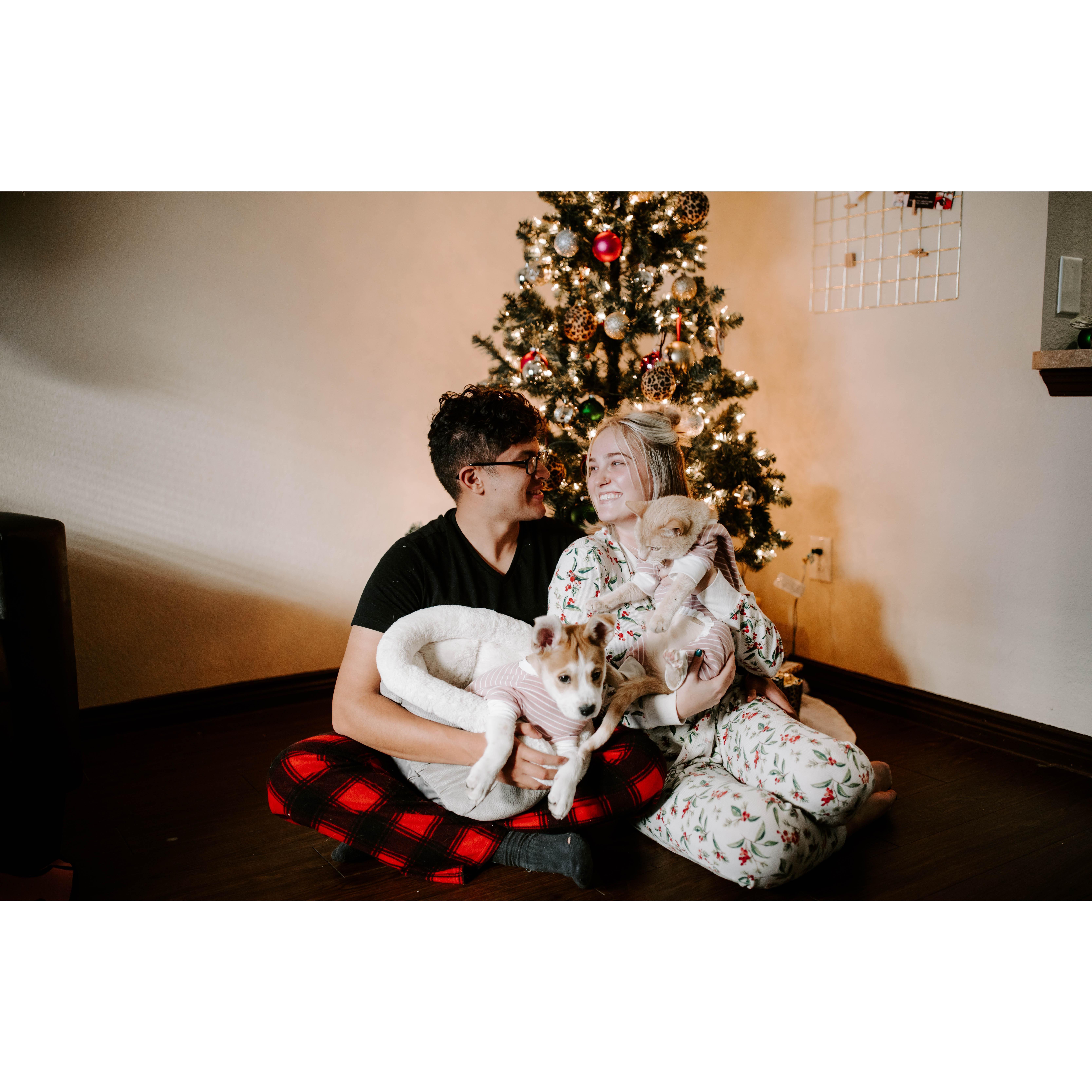 Christmas 2020