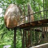 Fernbank Museum | 3D Theater | Forest