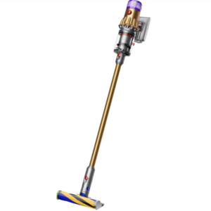 Dyson V12 detected slim