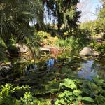 San Diego Botanic Garden
