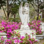 Bonaventure Cemetery