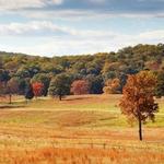 Valley Forge Park