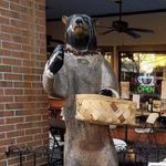 Black Bear Coffee Co