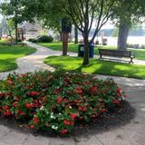 Levee Park