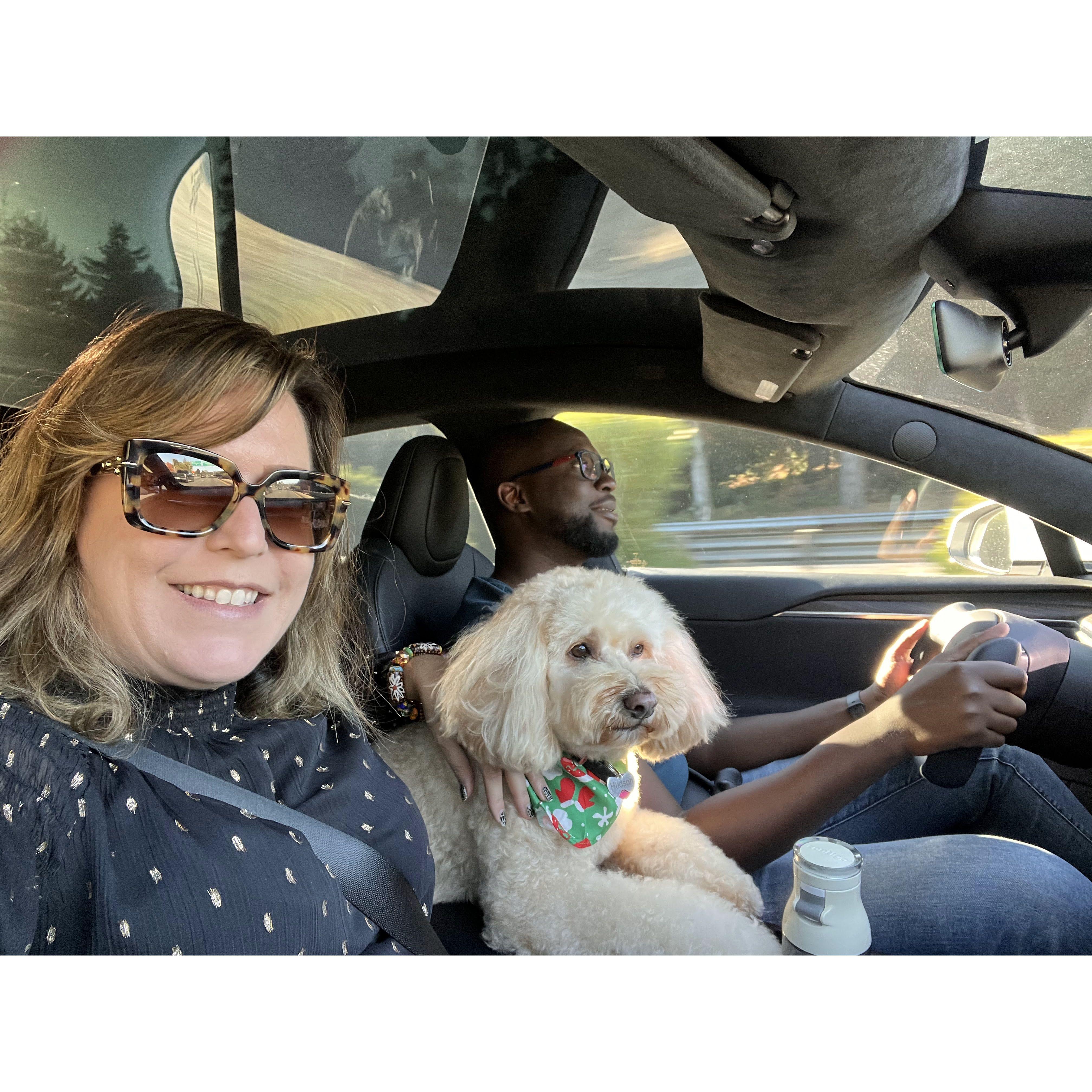 Family roadtrip! Not sure where...