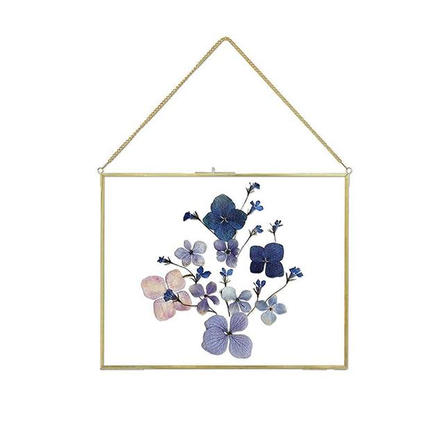 11x14 Inch Pressed Flowers Glass Picture Frames for Artwork Certificate, Horizontal Gold Brass Double Glass Clip Frame, Wall Hanging Dried Flower Plant Specimen Vintage Modern Geometric Decor