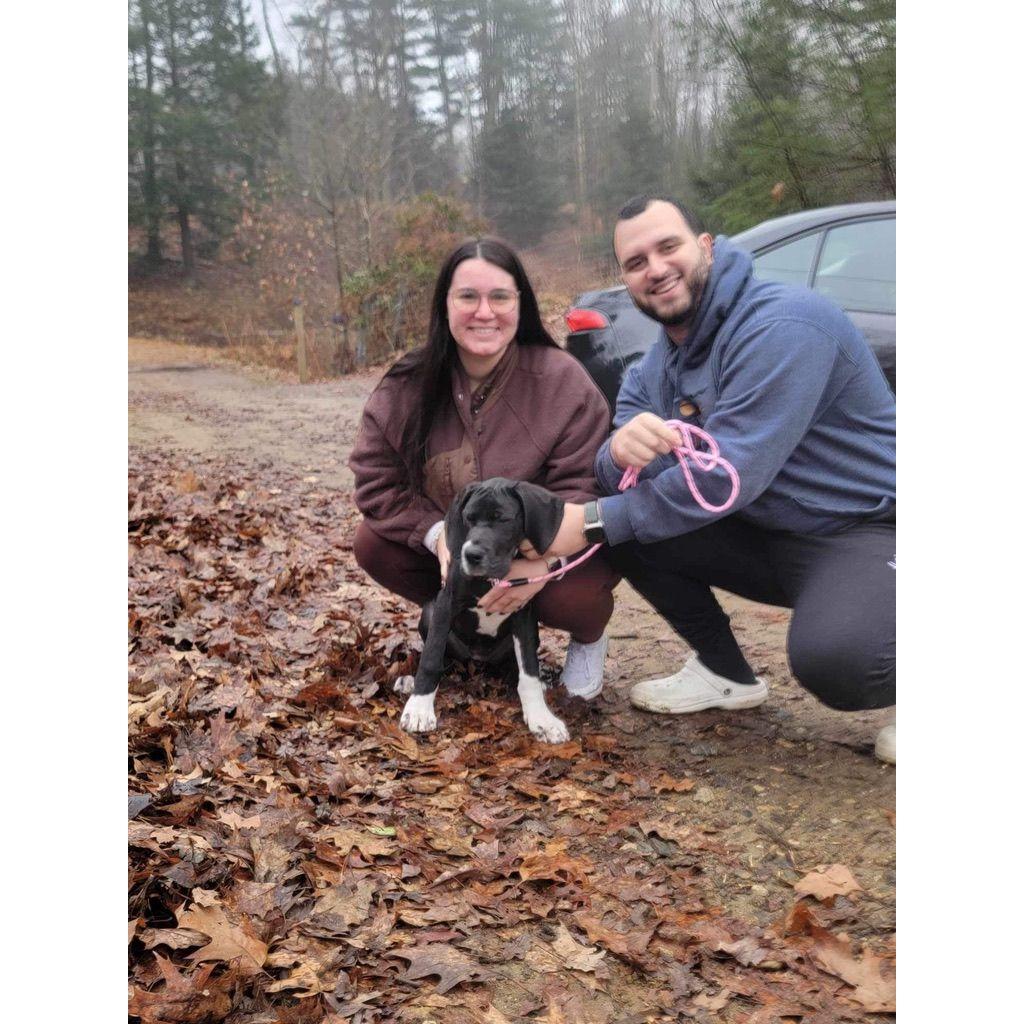 Adopted Mabel December 2023