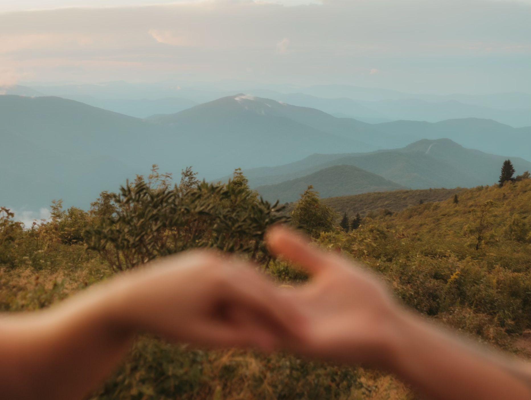 The Wedding Website of Annaliese Spielman and Dawson Hazen