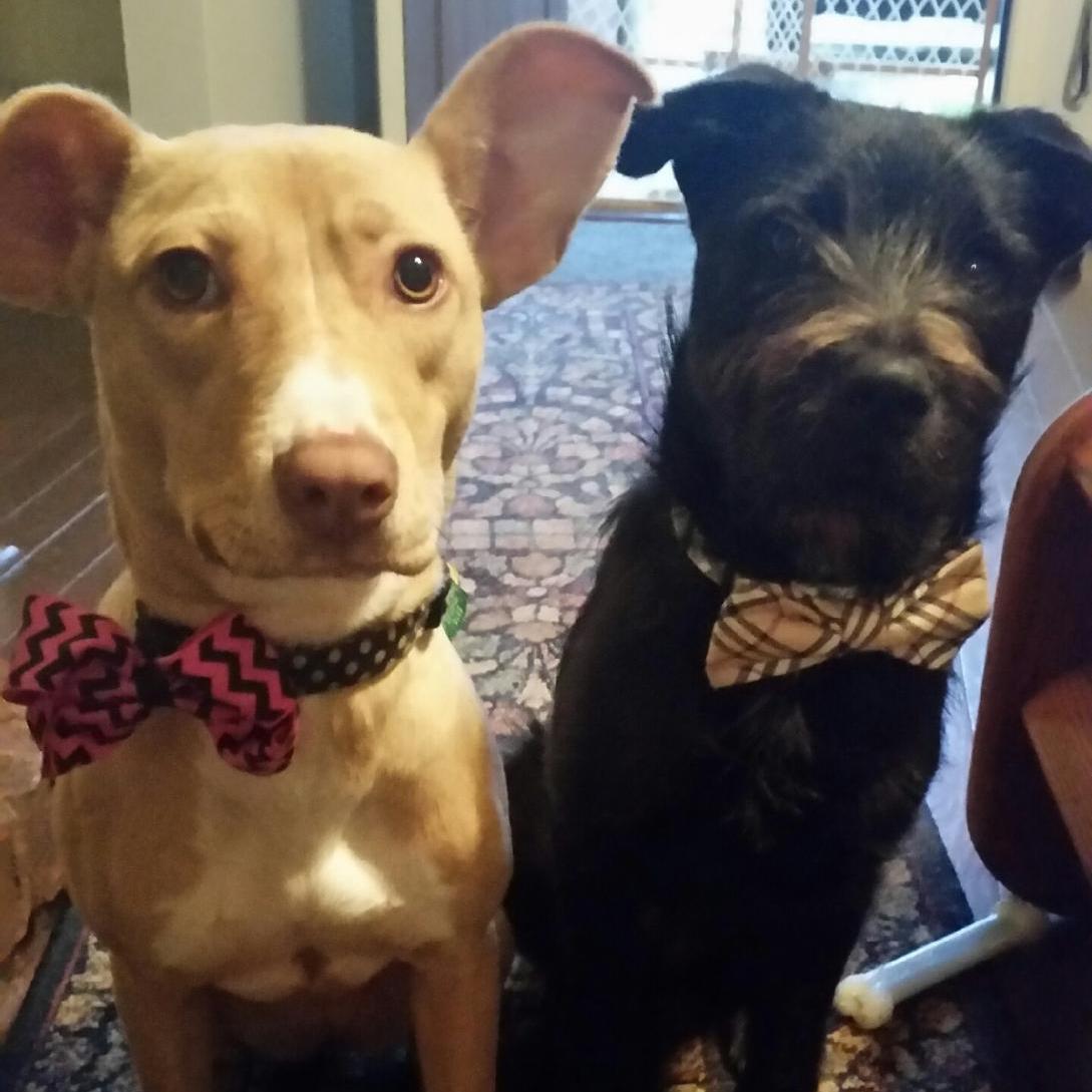 Baby Shae and Gus!