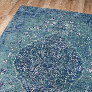 Amelia Distressed Area Rug