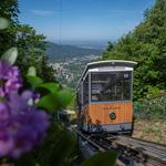 Merkur Cable Railway & Mountain