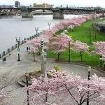 Portland Waterfront