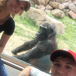 Cheyenne Mountain Zoo