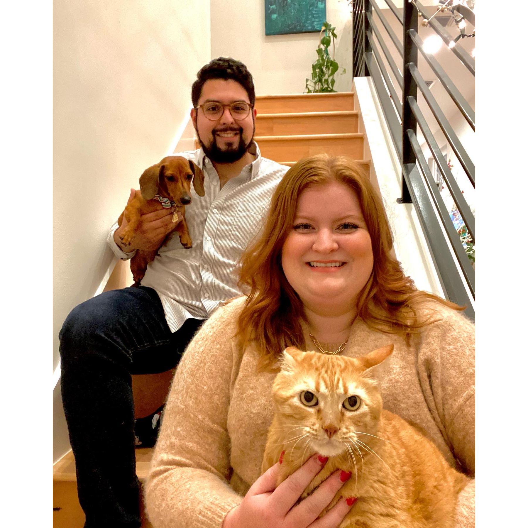 First Christmas Card, wrangling the fur babies