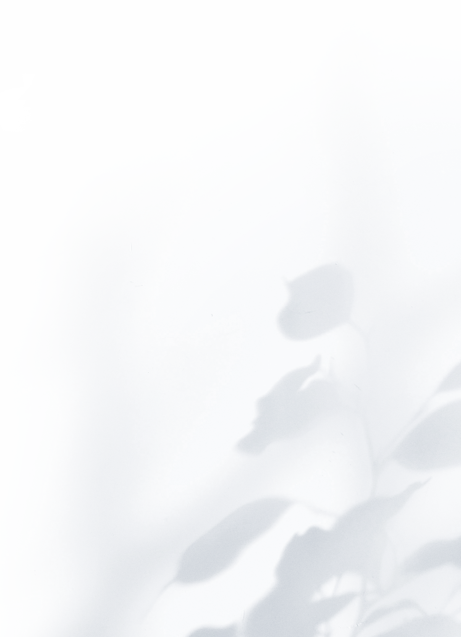 texture