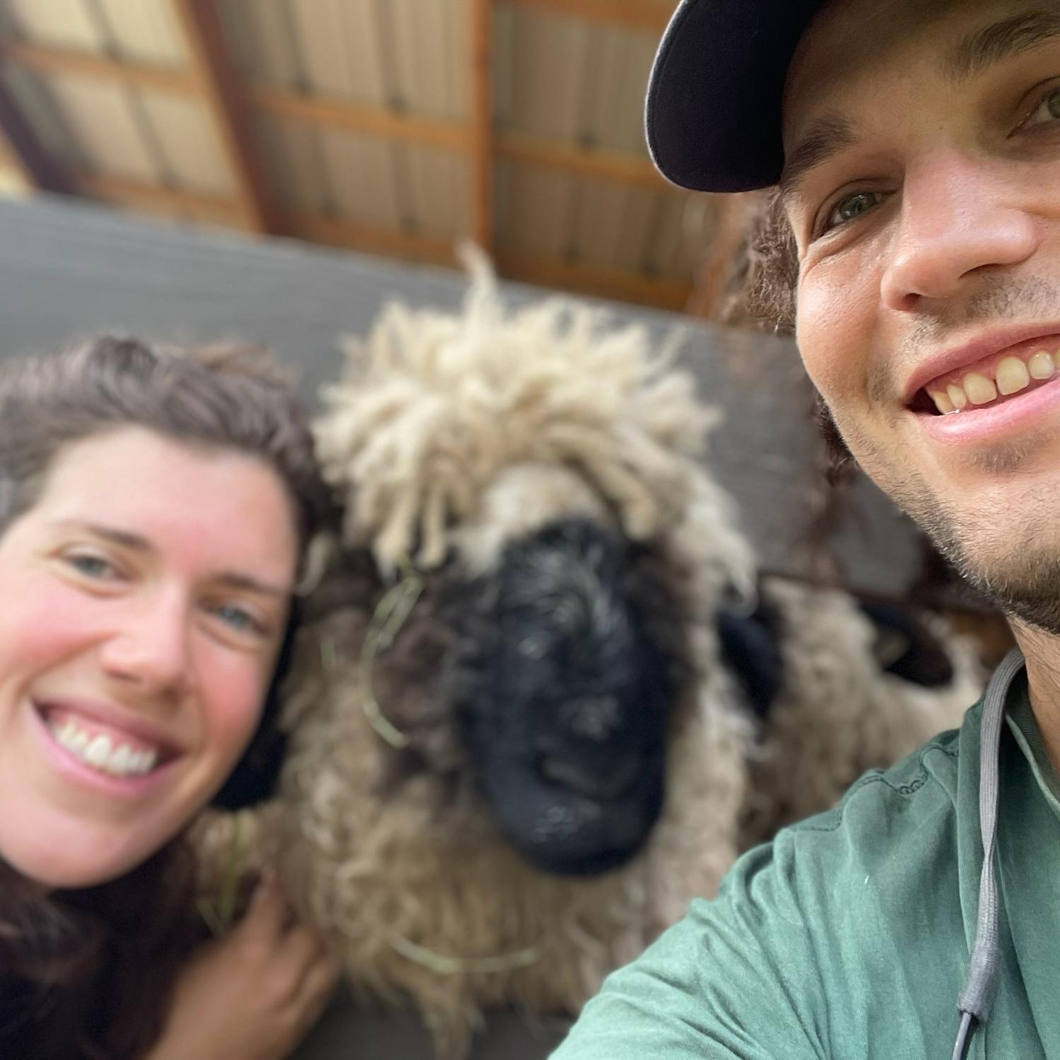 Our best friend