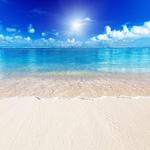 Hit the Beach at Siesta Key