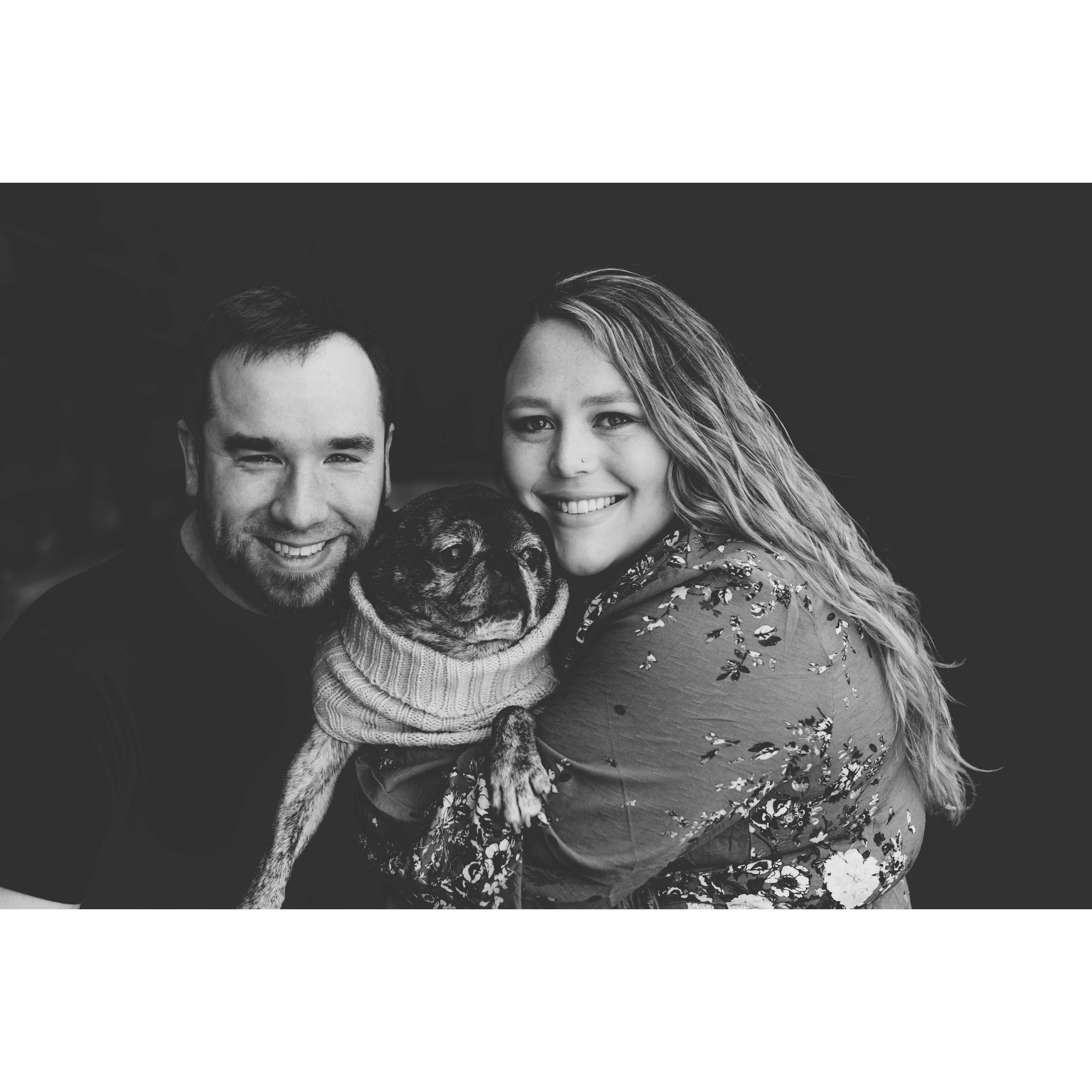 This was one of the first professional photos taken after accepting our adoring pug Rufus into our family