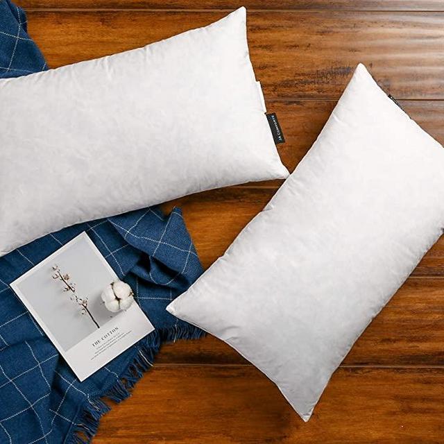 JA COMFORTS 12×20 Decorative Grey Goose Down Feather Throw Pillow Inserts(Set of 2)-100% Cotton Cover, Machine Wash, White