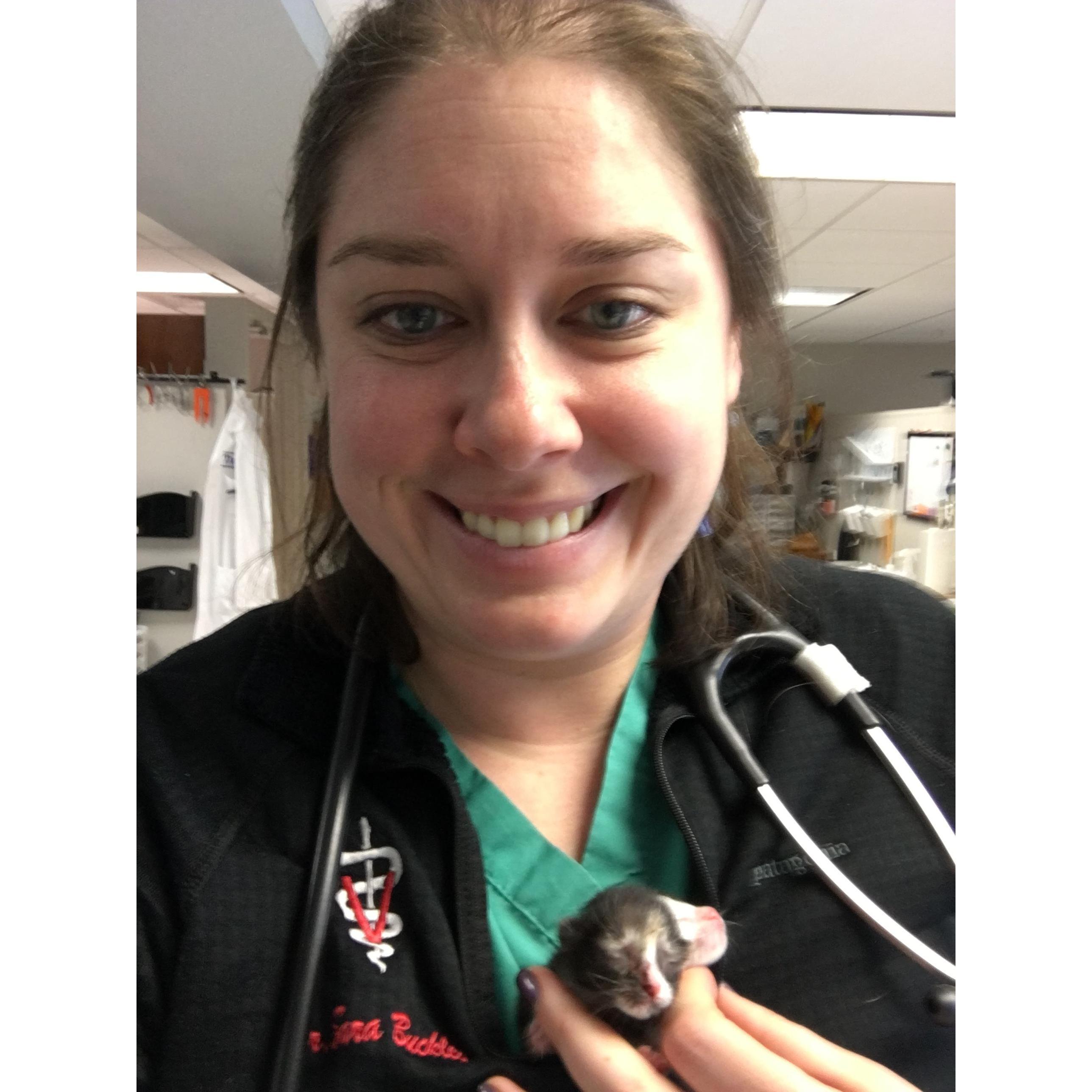 Kittens could be a back up favor option?