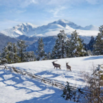 Rocky Mountain National Park