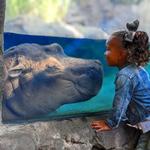 Cincinnati Zoo & Botanical Garden