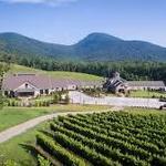 Yonah Mountain Vineyards